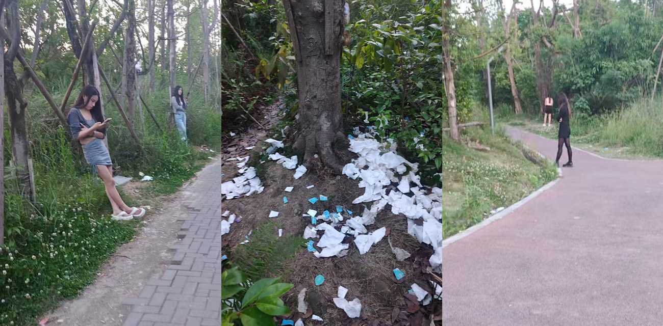 成都大久保公园 惊现大量站街女 100一次妹妹陪你钻小树林 大环境不好连房子都不租了啊 地上避孕套都堆成山了！ 热搜 HOT - 51吃瓜网-51吃瓜网