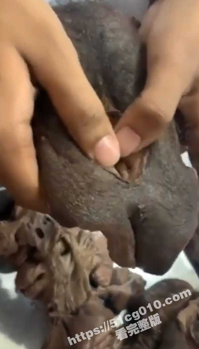 猎奇重口 慎入！罕见流出各种类型女性的性器官 满足你的好奇心 - 51吃瓜网-51吃瓜网