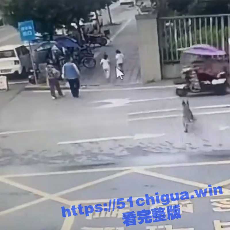 一波未息一波又起 ！四川乐山夹山某小区门口又发生不栓狗链的狗撕咬小孩-51吃瓜网