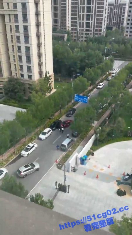 胆小勿看  山东东营一男子持斧头当众爆头砍杀两人 太吓人了！-51吃瓜网