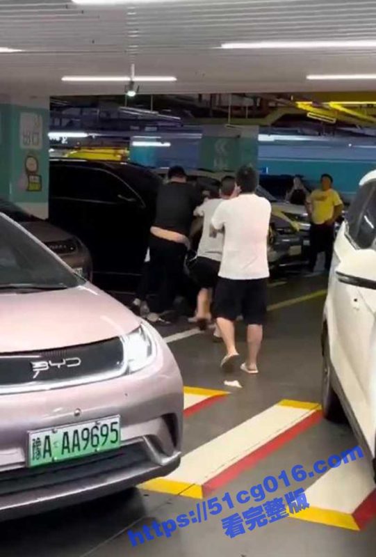 河南两家人 在商场地下停车场 为停车位大打出手 你一拳我一腿 现在的人火气真大-51吃瓜网
