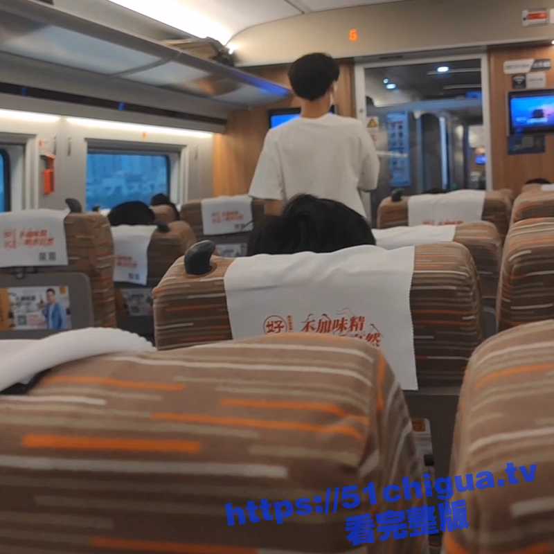 饥渴情侣国庆出游期间在人前的高铁上演激情四射的口活 简直刺激无比-51吃瓜网